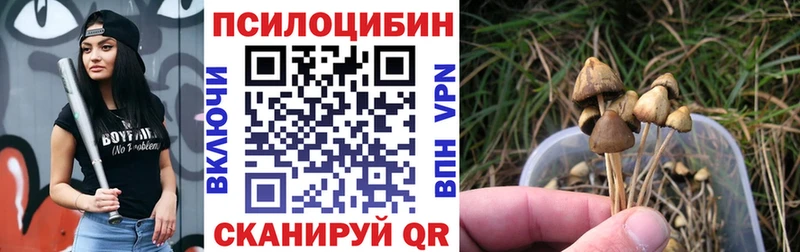 продажа наркотиков  кракен сайт  Псилоцибиновые грибы мухоморы  Новоузенск 
